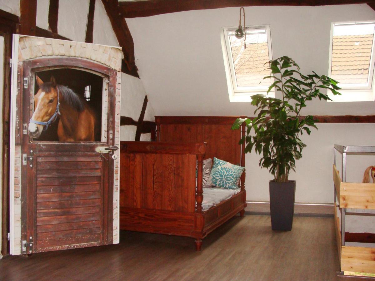 Cottage Huehnerstall ツュルピッヒ エクステリア 写真